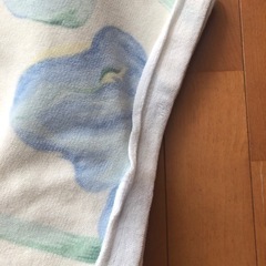 夏用　綿毛布　シングルサイズの画像