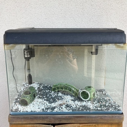 GEX 水槽