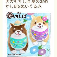 忠犬もちしば　夏のおめかしBIG　ぬいぐるみ　♂