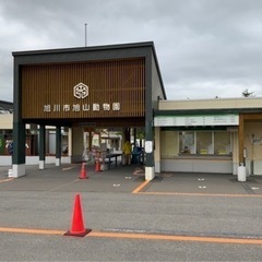 旅行友達募集します　全国旅行支援割引　JALバーゲン - メンバー募集