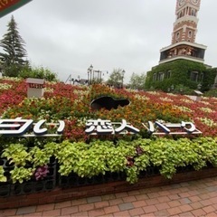 旅行友達募集します　全国旅行支援割引　JALバーゲン − 秋田県