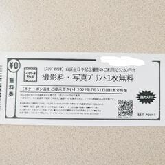 5280円分 スタジオマリオ 撮影料＋写真プリント1枚 無料お試し券