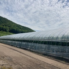 短期アルバイト募集！の画像