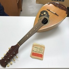 取引場所　南観音　K2207-739 マンドリン