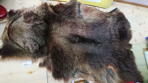 倶知安 熊の敷物　天然一枚皮 タペストリー