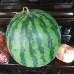 信州山形村産ブランドスイカ🍉