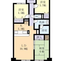 ⭐️初期費用ゼロ⭐️フリーレント⭐️分譲マンション仕様の3LDK賃貸マンション♪高齢者大歓迎♪ - 不動産