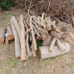 キャンプ 暖炉の薪に