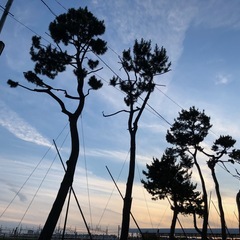 アジアンなリラクゼーションサロンと併設されてるカフェのファラフェ...