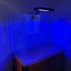 ＡＤＡ　60センチ水槽ハイタイプの画像