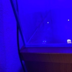 ＡＤＡ　60センチ水槽ハイタイプの画像