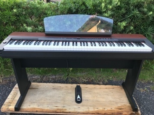 ヤマハ　P-155 (送料無料)