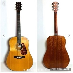 MORRIS アコースティックギター M-01NAT
