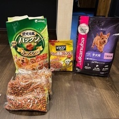 ドックフード