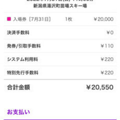フジロックフェスティバル　チケット　2022/7/31の画像