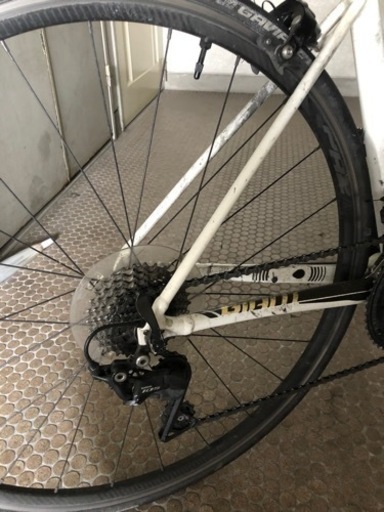 GIANT TCR SLR 2 (2019 NEW)中古