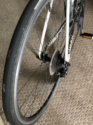 GIANT TCR SLR 2 (2019 NEW)中古