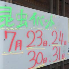 7/31日更新 昆虫イベント 昆虫くじ 昆虫 メダカ 販売 メダ...