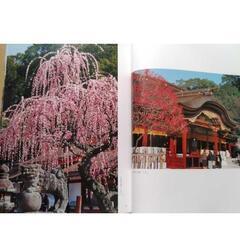 中村もとき写真集 新・博多百景(2005年第1刷：海鳥社)の画像
