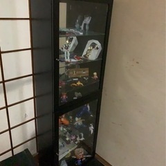 ショーケース