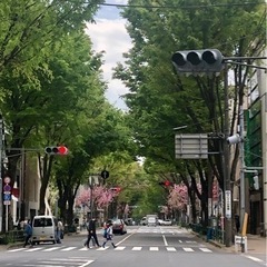 【終了】阿佐ヶ谷ゴミ拾い！第3回ボランティア