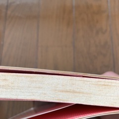 アトピー体質に負けない本の画像