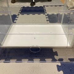 【決まりました】水槽とブクブクの画像
