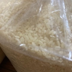 古米エサ用　差し上げますの画像