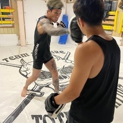 格闘技ではじめの一歩をの画像