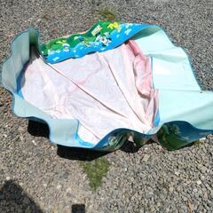 ミッキーのプール