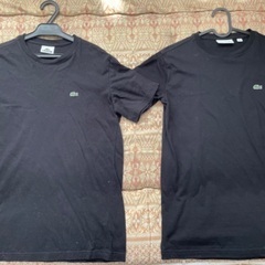LACOSTE　ラコステ　Tシャツ　ペア　片方新品未使用