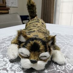 （決まりました）笑って転げて 猫山さん（電動ぬいぐるみ）