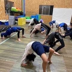 アルバイト⭐︎体操の先生大募集‼︎⭐︎の画像