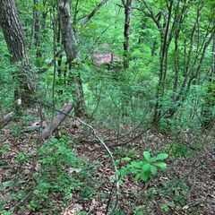 高山市　荘川ビレッジにある大自然に囲まれた別荘地をお譲りします - 土地販売/土地売買