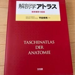 解剖学　アトラス