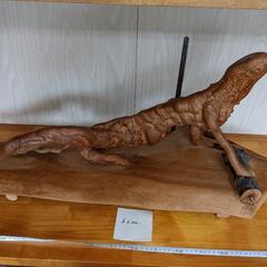 木の株イグアナ