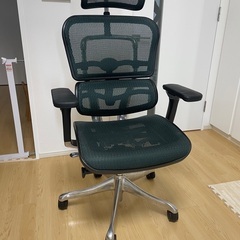 Ergohuman　エルゴヒューマンプロ　椅子