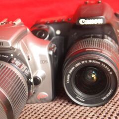 EOS　30D　　Kissデジタル　　　充電器の画像