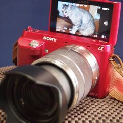 ミラーレス　NEX3F　　　自撮りOK　の画像