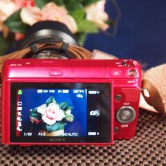 ミラーレス　NEX3F　　　自撮りOK　の画像