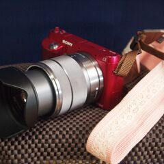 ミラーレス　NEX3F　　　自撮りOK　の画像