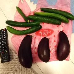 野菜全部で100円