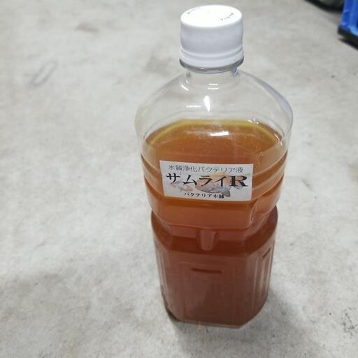 バクテリア本舗　サムライR