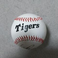 阪神タイガース 金本知憲 直筆サインボール
