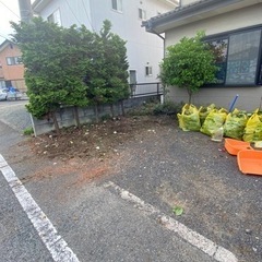 草刈り、草むしり、剪定 - 足利市