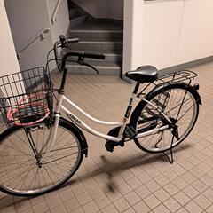 美品自転車ホワイトの画像