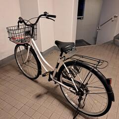 美品自転車ホワイトの画像