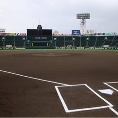 甲子園観に行きませんか？