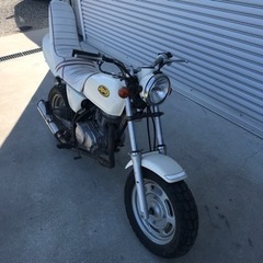 エイプ100の画像