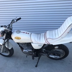 エイプ100の画像